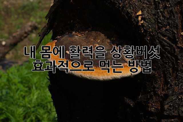 14d933baa4d3aa6ae5cade760b88a89b.jpg