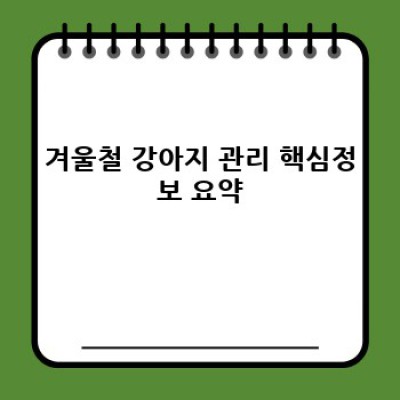 겨울 추위 걱정 끝! 우리 강아지 따뜻하게 겨울나기 완벽 가이드