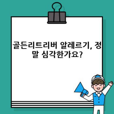 골든리트리버 알레르기: 궁금증 해결 완벽 가이드