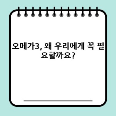 오메가3 완벽 가이드: 건강한 삶을 위한 필수 지방산 완벽 정복