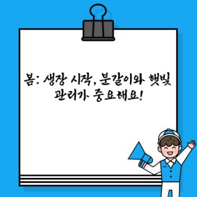 계절별 화분 선택 가이드: 나에게 딱 맞는 화분, 어떻게 고르나요?