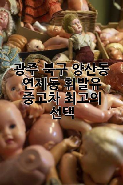광주 북구 양산동 연제동 휘발유 중고차: 최고의 선택