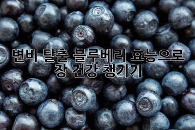변비 탈출! 블루베리 효능으로 장 건강 챙기기 ✨