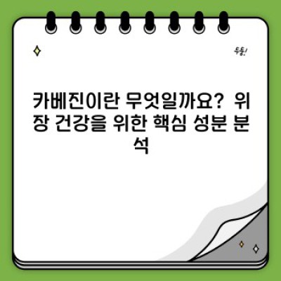 카베진 완벽 가이드: 효능, 복용법, 부작용까지 속 시원히 파헤쳐보자!