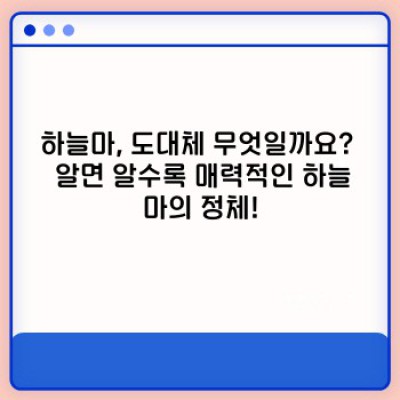 하늘마는 무엇일까요? 궁금증 해소 완벽 가이드