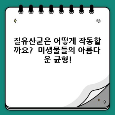 질유산균: 여성 건강의 든든한 지킴이 - 모든 궁금증 해결!