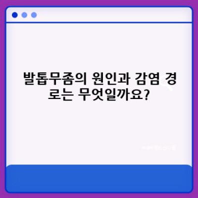 발톱무좀 완벽 가이드: 증상, 치료, 예방까지 한눈에!