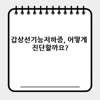 갑상선기능저하증치료: 완벽 가이드 - 증상, 진단, 치료법, 그리고 관리까지
