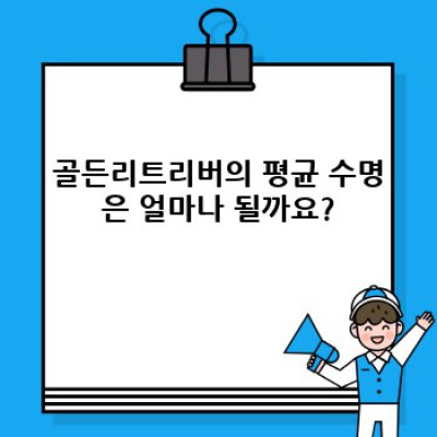 골든리트리버 수명: 건강하게 오래 함께하기 위한 완벽 가이드 (수명, 질병, 관리법 총정리!)