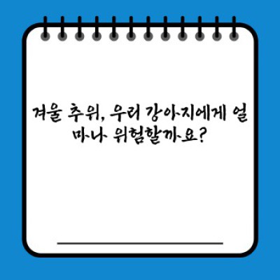 겨울철 강아지 관리: 꽁꽁 얼어붙는 추위에도 우리 강아지 건강하게 겨울나기!