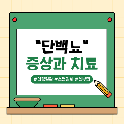 단백뇨(Proteinuria): 원인 및 증상, 진단 방법, 치료법 총정리