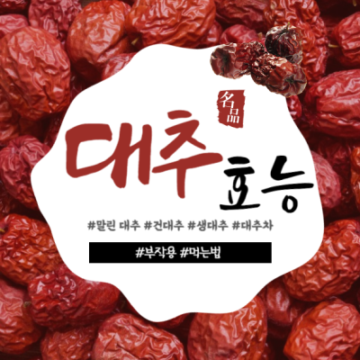 대추(말린대추,사과대추,대추차)의 효능과 부작용, 먹는법