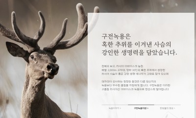 구전녹용의 효능, 섭취방법, 주의사항, 가격 총정리